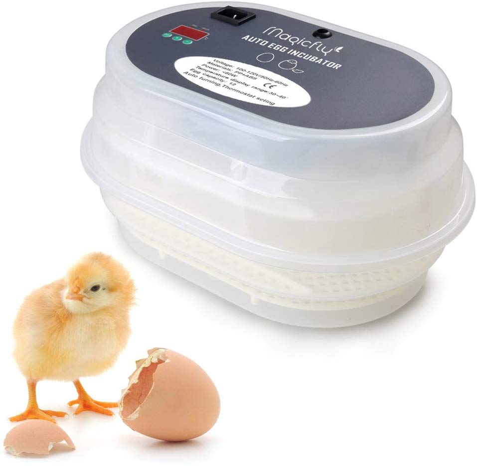 Magicfly digital mini fully automatic egg incubator